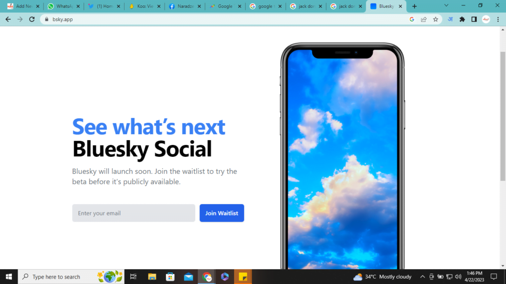 BLUESKY SOCIAL NETWORKING APP