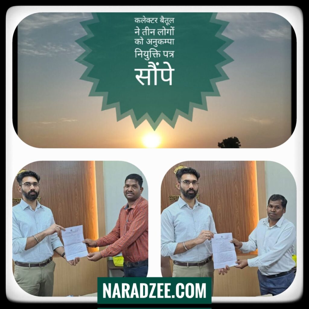 COLLECTORE BETUL NEWS