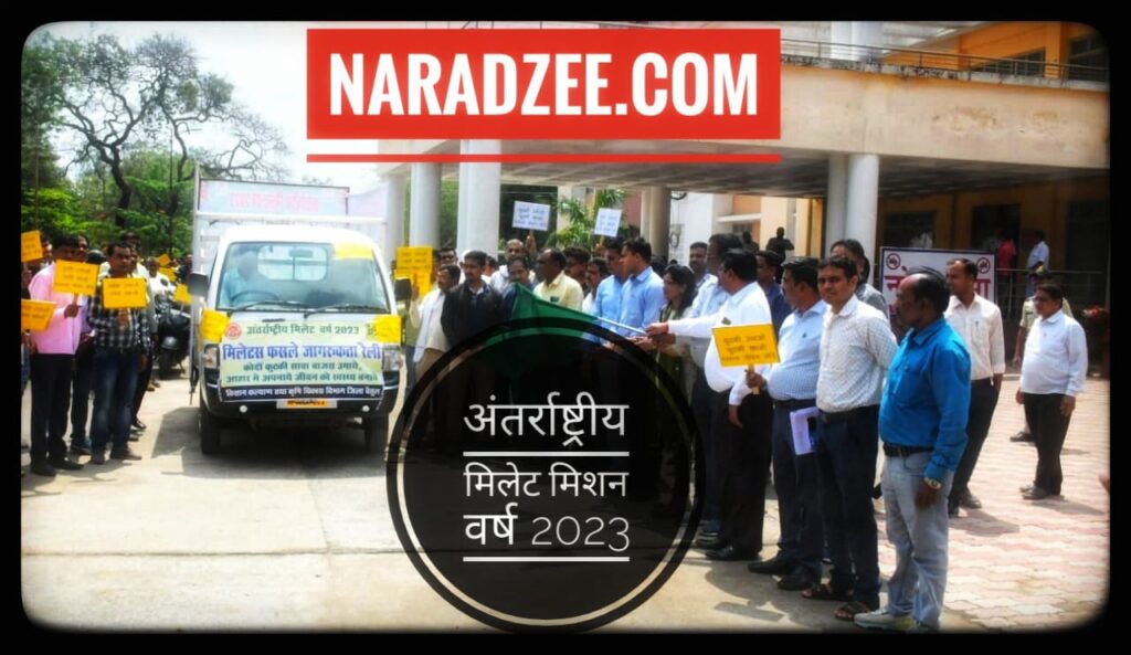 WORLD  MILLET MISSION YEAR 