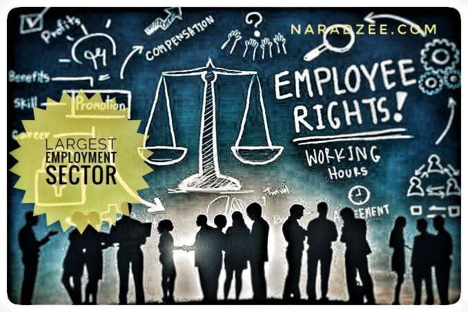 Employment sector in India 