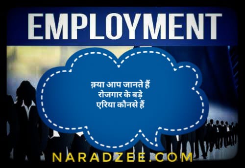 Employment sector in India