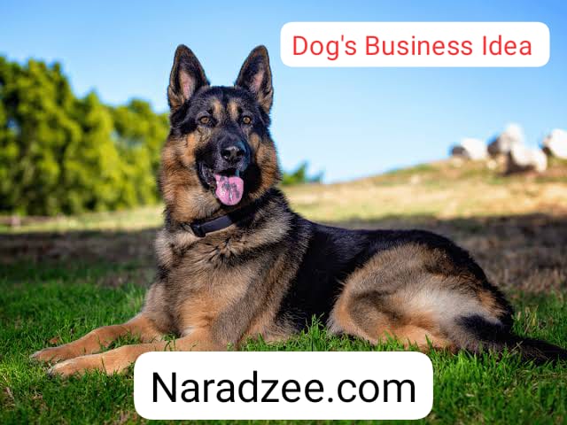 dogs business idea 