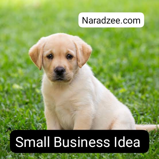 dogs small business idea