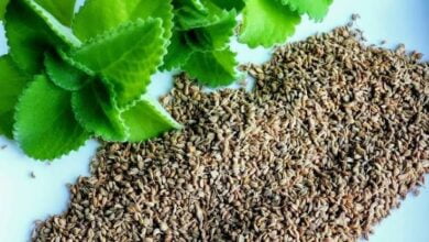 Ajwain