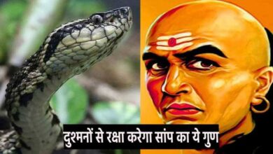 Animal Chanakya