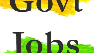 Govt job