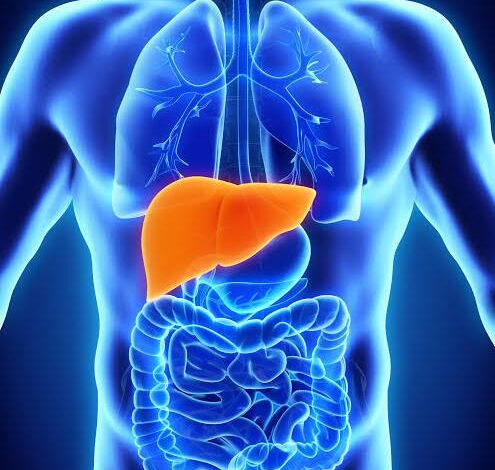 Liver Infection