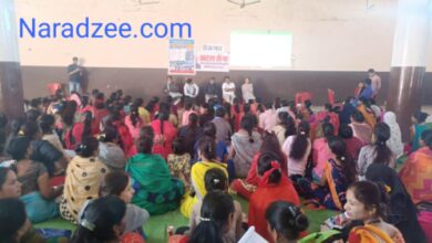 Betul me ab mahilao ko milenga Job News