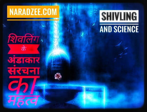 IMPORTANCE OF OVAL STRUCTURE OF SHILVING