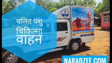 ANIMAL AMBULANCE SEVA