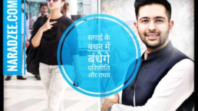 RAGHAV PARINEETI MARRIAGE