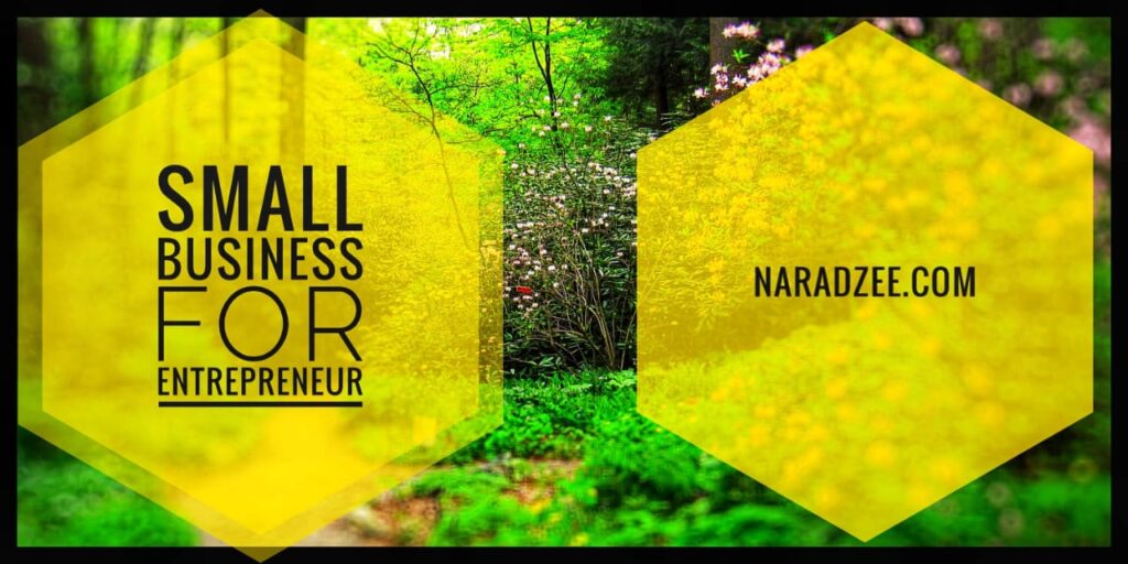 LAND BUSINESS IDEAS FOR NEW YOUNGSTERS