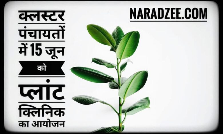 PLANT CLINIC CLUSTER PANCHAYAT