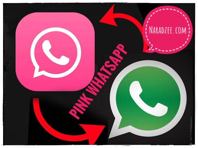 EXPERT ON PINK WHATS APP