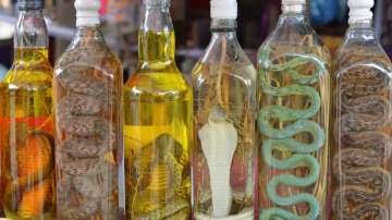 Snake Wine Price