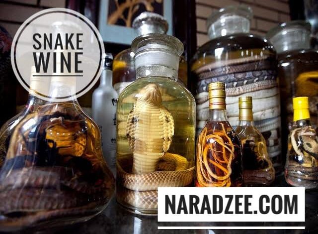 Snake Wine China
