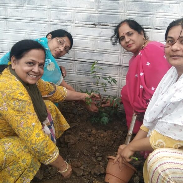 Tree Planting