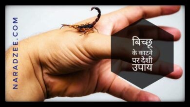 SCORPION BITE TREATMENT in hindi