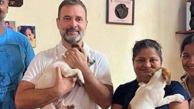 Rahul Gandhi adopt dog