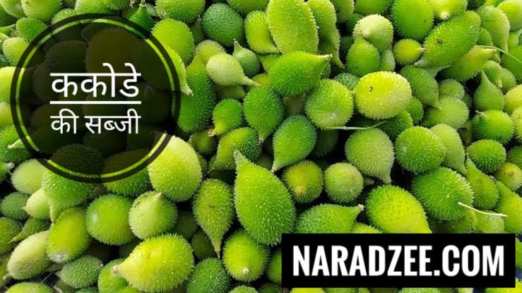 Benefits of Kakode