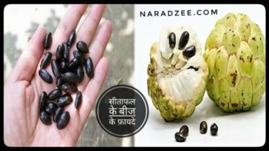 Custard Apple Seeds advantages