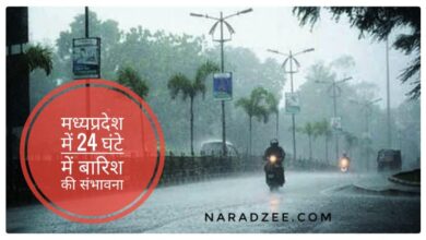 Weather Update September