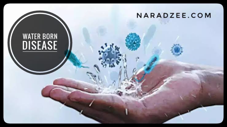 water born diseases symptoms