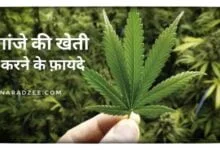 GANJE KA CHAMTKAR