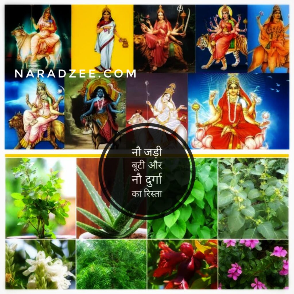 9 FACTS ABOUT NAURATRI