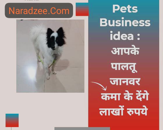 Pets business idea