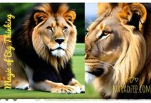 MAGIC OF BIG THINKING