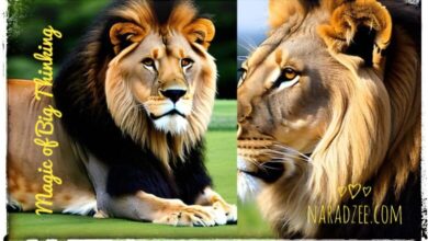 MAGIC OF BIG THINKING