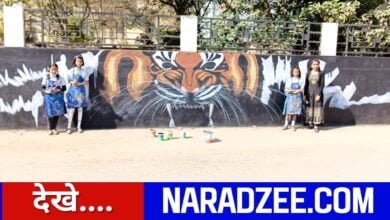 TIGER PICTURE ON WALL