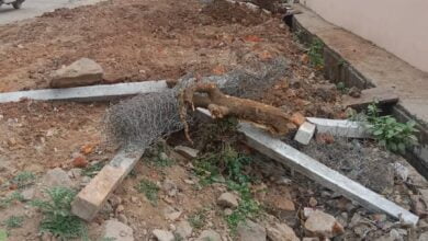 Nagarpalika News betul