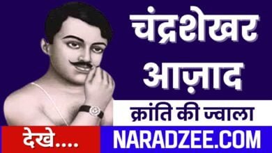 Chandrashekhar Azad News